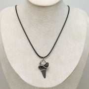 A Shark Tooth Necklace on a cream necklace display bust. 