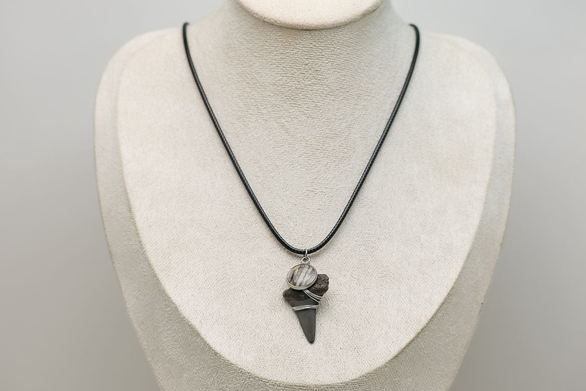 A Shark Tooth Necklace on a cream necklace display bust. 