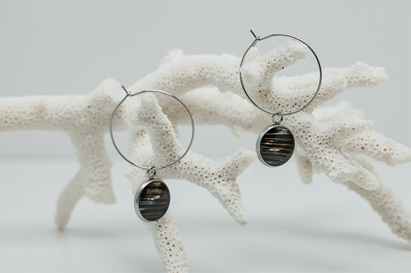 Silver Hoops on white coral on a white background.  