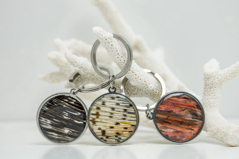 Three silver Keychain rings on white coral on a white background.
