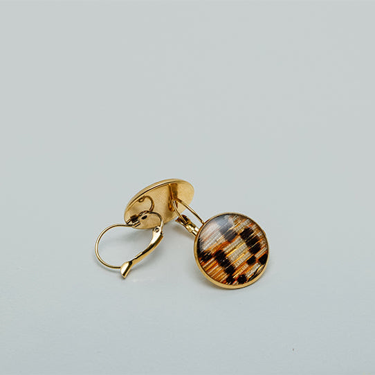 French Hook Earrings on a white background.