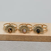 Three gold rings with different lionfish fins on a wooden block against a gray background