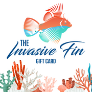 Gift card design with colorful fish and coral on a white background.