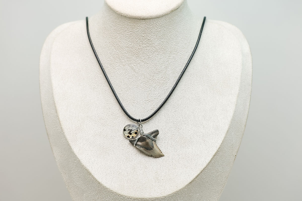 A Shark Tooth Necklace on a cream necklace display bust. 