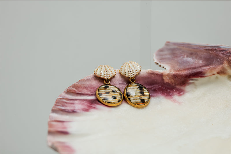Faux Mini Scallop Earrings in a pink clam shell on a white background.  