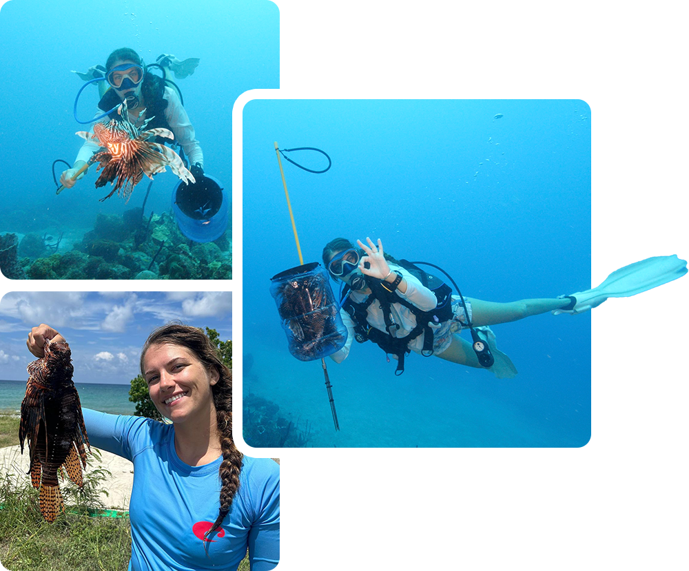 Collage of a woman in scuba diving gear underwater spearfishing lionfish and one of her on a beach holding up a lionfish.