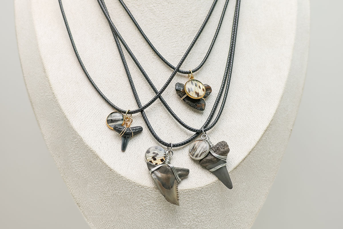 Four Shark Tooth Necklaces on a cream necklace display bust. 